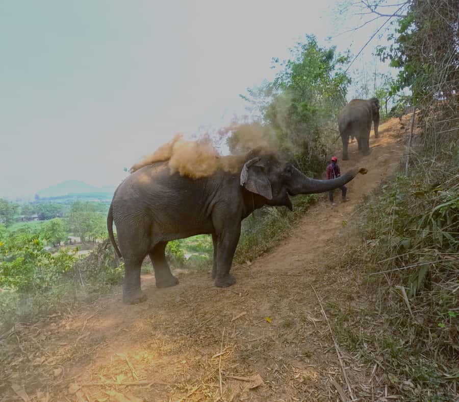 From Chiang Mai: Chiang Mai Elephant Care Morning Program - Changing into camp clothes and learning the rules