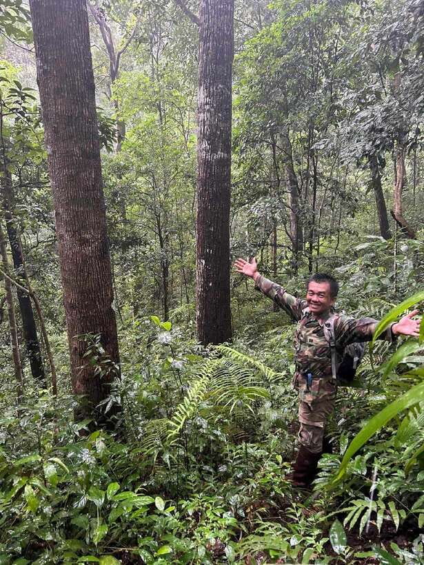 From Chiang Mai: Doi Saket Hiking Tour with Lunch - The five-hour forest trek
