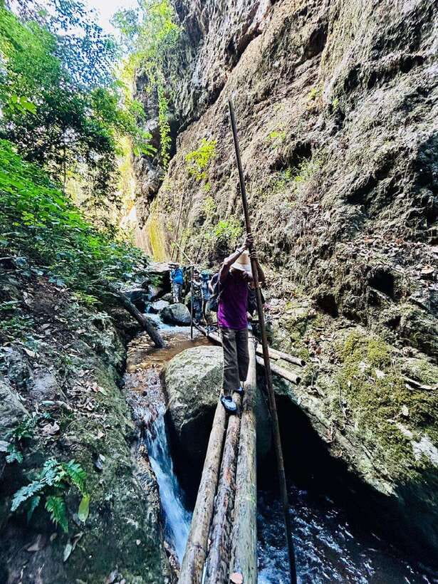 From Chiang Mai: Doi Saket Hiking Tour with Lunch - Ancient trees, views, and forest sounds