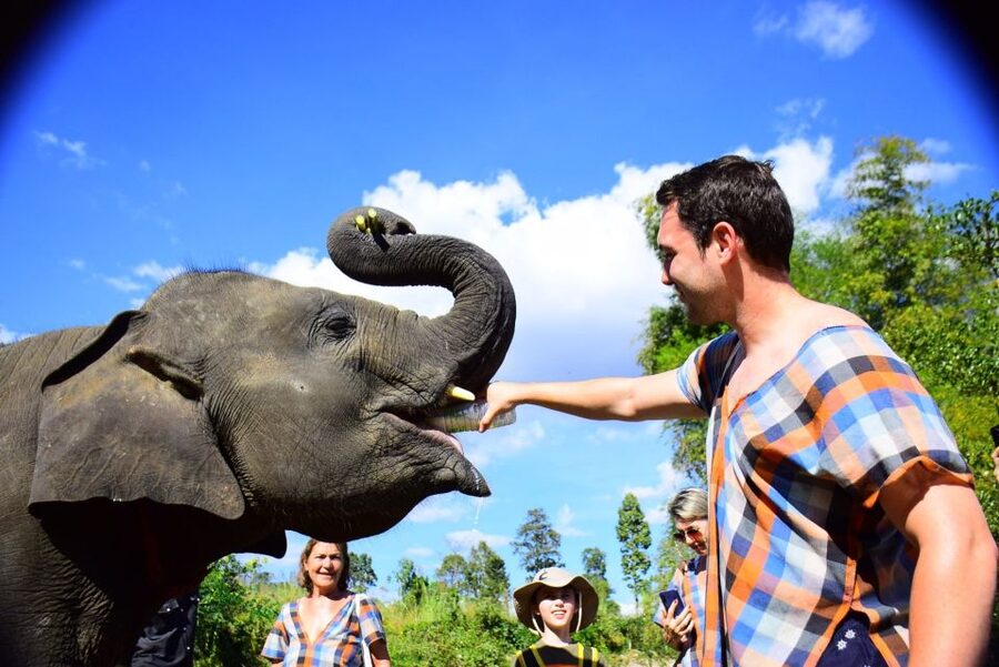 From Chiang Mai: Elephant Care Program and Nursery Tour - The one-hour ride from Chiang Mai to Mae Tang