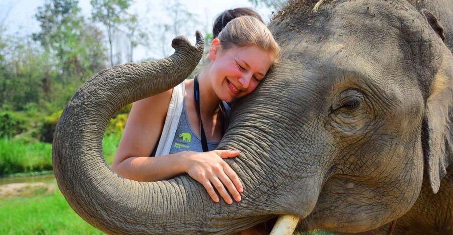 From Chiang Mai: Elephant Care Program and Nursery Tour - Preparing medicine balls and feeding bananas
