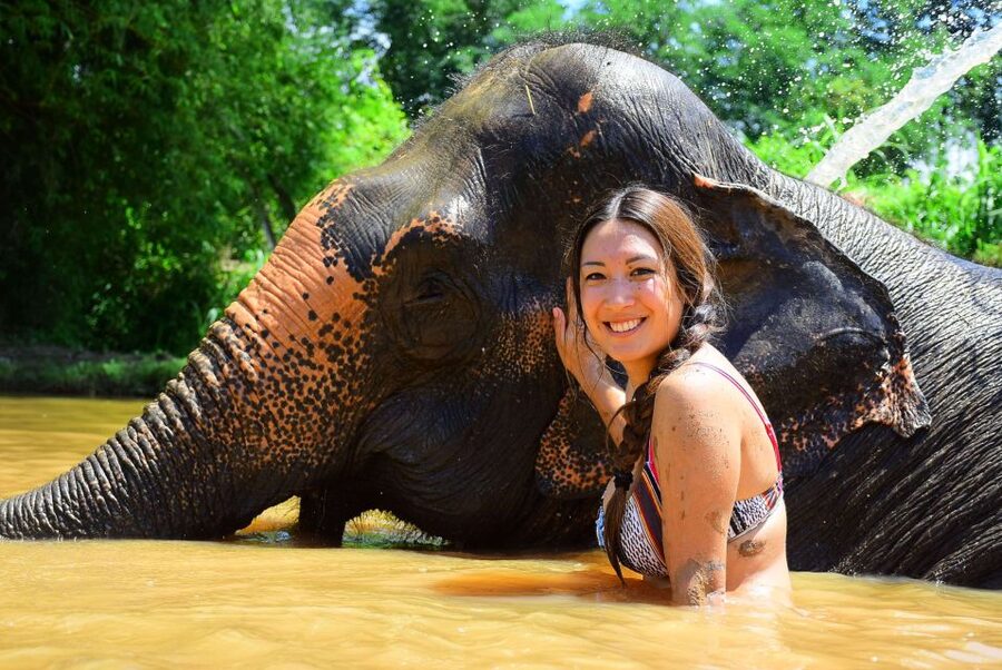 From Chiang Mai: Elephant Care Program and Nursery Tour - Mud, sand, and the most memorable part of the day