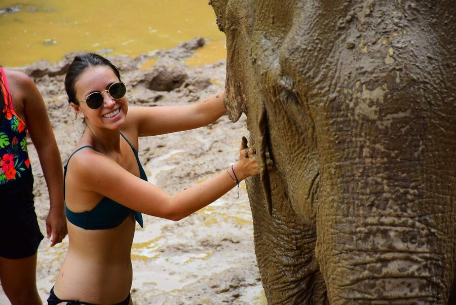 From Chiang Mai: Elephant Care Program and Nursery Tour - Bathing the elephants and getting the photographs