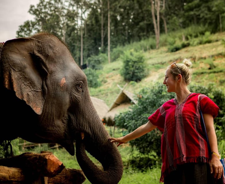 From Chiang Mai: Kerchor Eco Elephant Park Tour - Feeding baby elephants and preparing their snacks