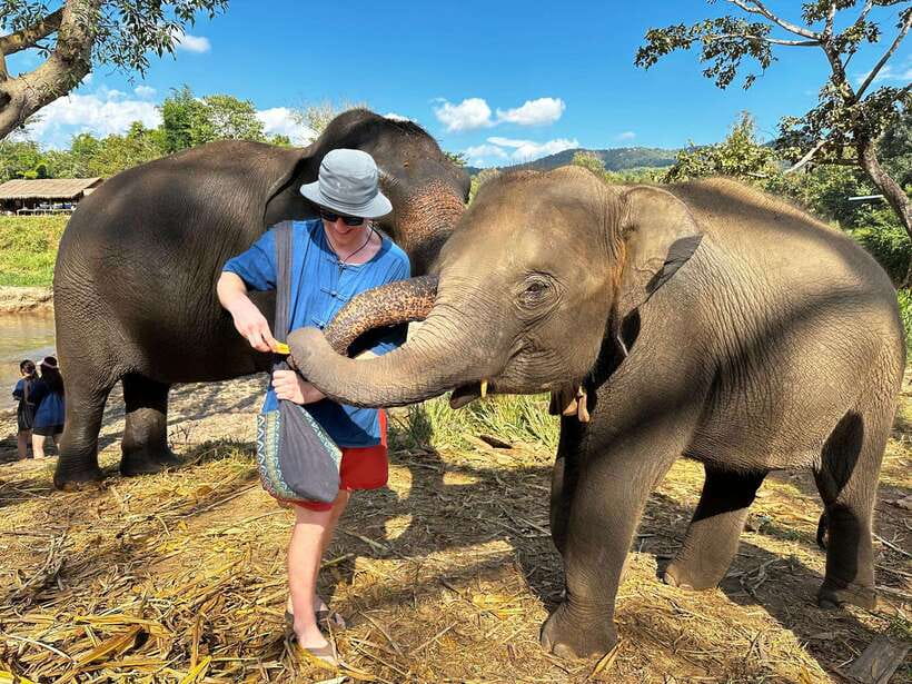 From Chiang Mai: Living Green Elephant Sanctuary Tour - Feeding elephants without turning them into performers
