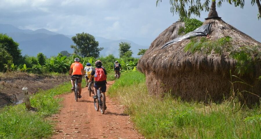 From Chiang Mai: Mae Taeng Valley and Waterfalls Cycle Tour - Thai lunch in a tropical garden