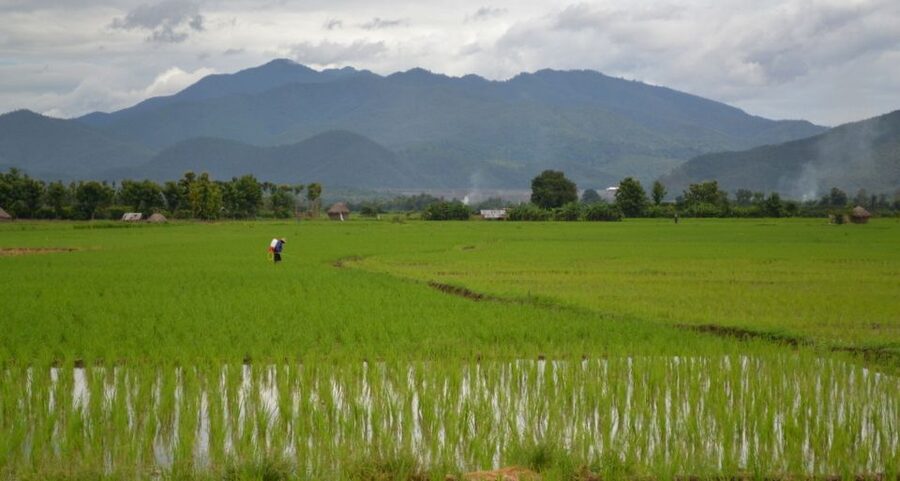 From Chiang Mai: Mae Taeng Valley and Waterfalls Cycle Tour - Who should book this Mae Taeng cycling day?