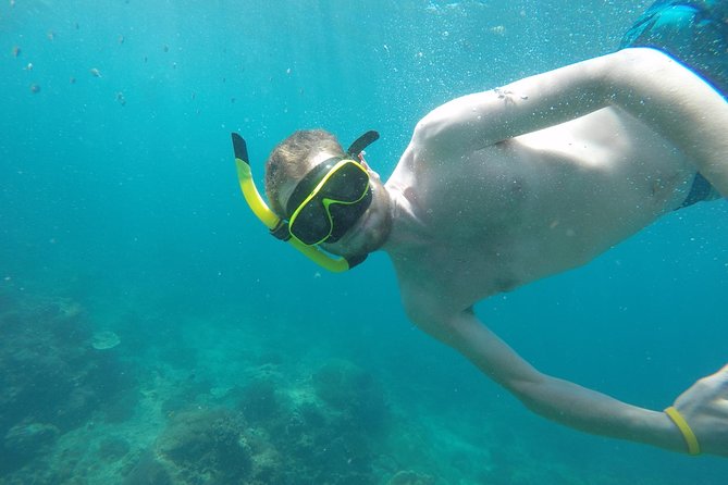 From Khao Lak : Phi Phi Islands Adventure Day Trip with Lunch - Viking Cave is short but adds local context
