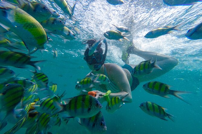 From Khao Lak : Phi Phi Islands Adventure Day Trip with Lunch - Speedboat reality: fast, efficient, and sometimes rough
