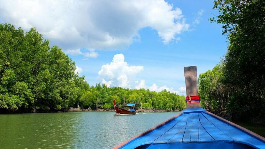 From Ko Lanta: Mangrove Eco-Excursion by Longtail Boat - Key points to know before you go