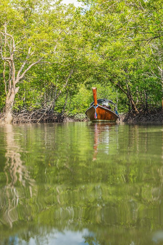 From Ko Lanta: Mangrove Eco-Excursion by Longtail Boat - What the $28 price really covers