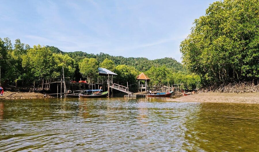 From Ko Lanta: Mangrove Eco-Excursion by Longtail Boat - Morning or afternoon pickup from your Ko Lanta hotel