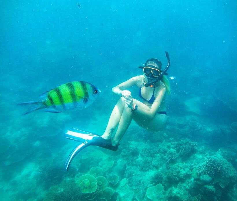 From Koh Lanta: Koh Haa & Koh Rok Snorkel Tour by Speedboat - The final hour on the boat