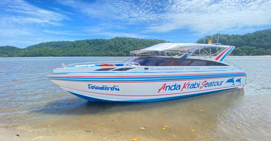 From Krabi: Phi Phi Island Full-Day Private Speed Boat Tour - Phi Phi Don and the picnic break