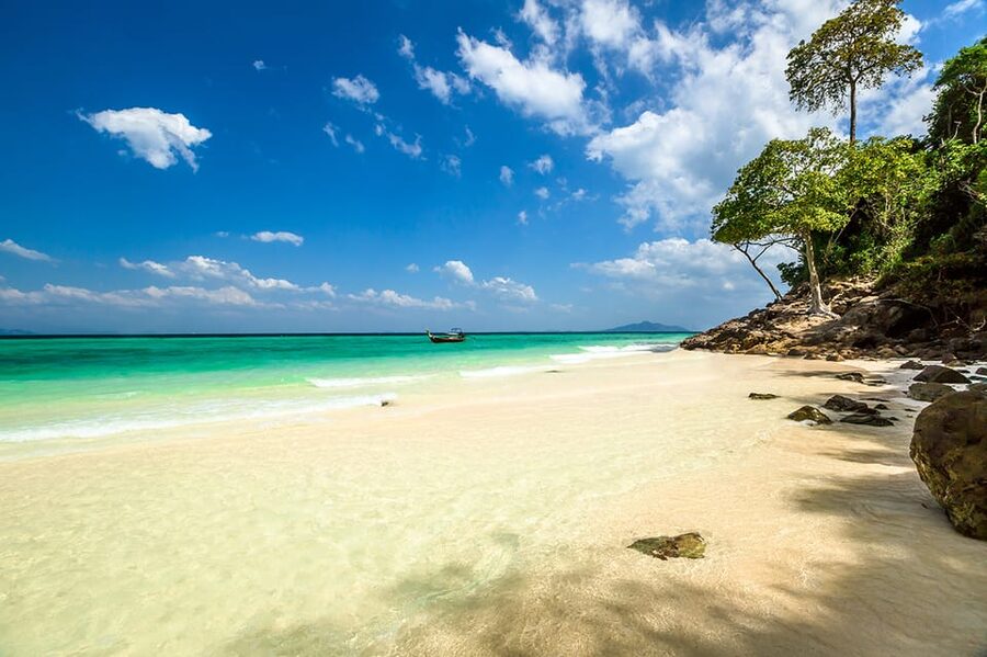 From Krabi: Phi Phi Islands Speedboat Day Tour - Loh Samah Bay and Maya Bay: beauty with limits