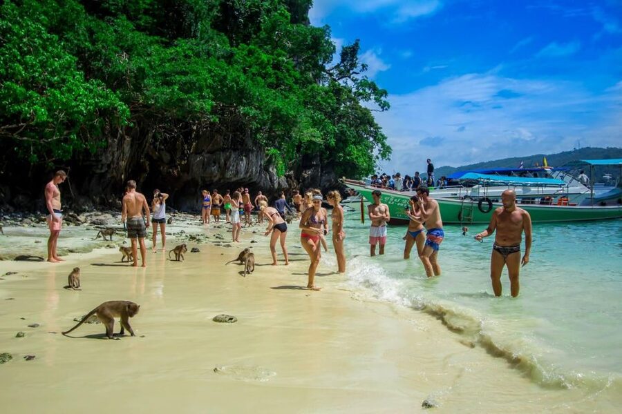 From Phi Phi: Half-Day Longtail Boat Tour with Snorkeling - Choosing between 9 AM, 10 AM, and 2 PM