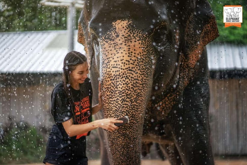 From Phuket: Elephant Jungle Sanctuary Feed and Shower Trip - The outdoor shower is the playful part