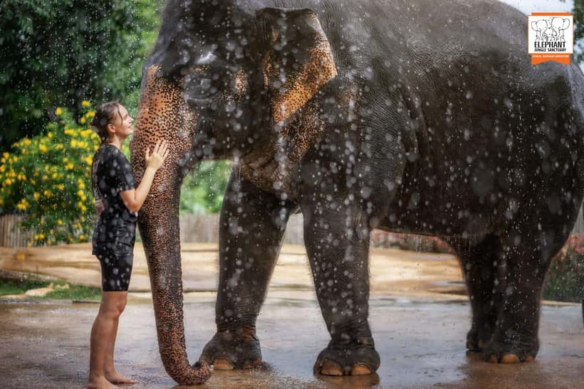 From Phuket: Elephant Jungle Sanctuary Feed and Shower Trip - Who will enjoy this Phuket activity?