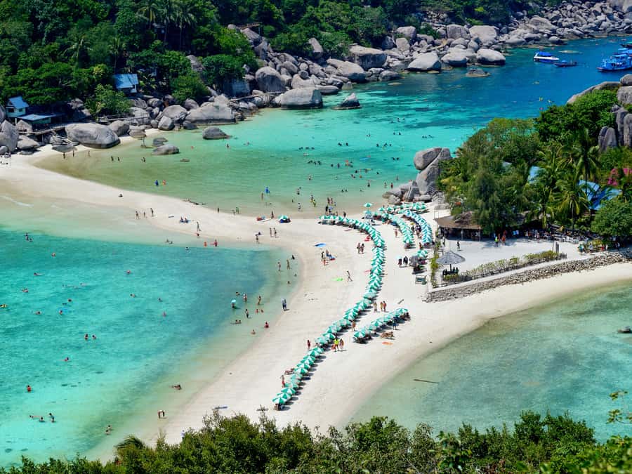 From Samui: Koh Tao and Nangyuan Snorkeling Tour Day Trip - Guides can make the water stops better