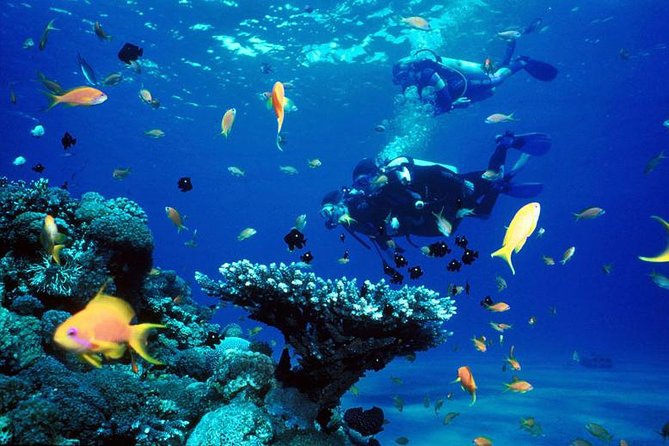 Full-Day Beginner Scuba Course with Private Tuition, Racha Yai - What This Phuket Scuba Course Really Offers