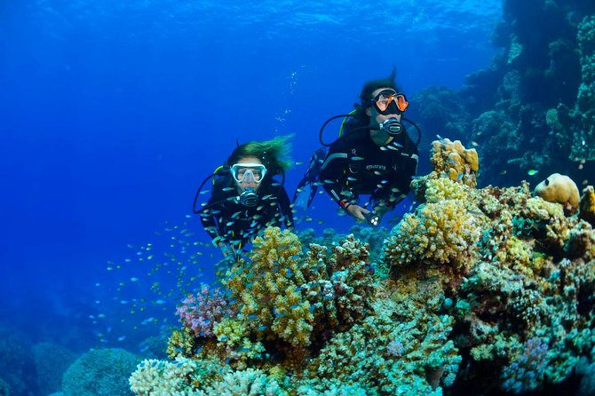 Full-Day Beginner Scuba Course with Private Tuition, Racha Yai - Learning the Equipment Before You Enter the Water