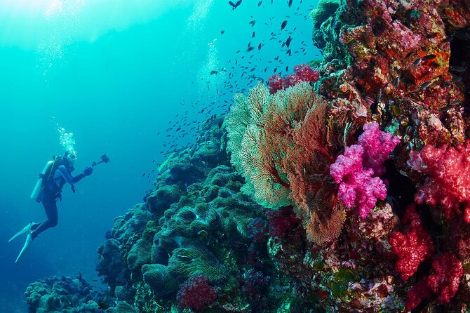 Full-Day Beginner Scuba Course with Private Tuition, Racha Yai - First Open-Water Session at Racha Yai