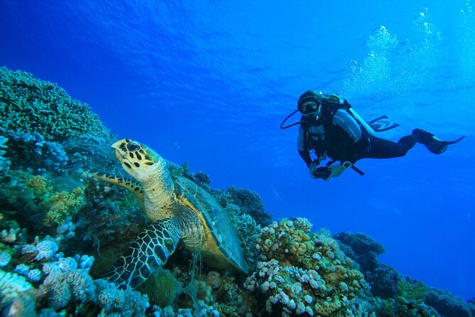 Full-Day Beginner Scuba Course with Private Tuition, Racha Yai - Photos and the Camera Rule