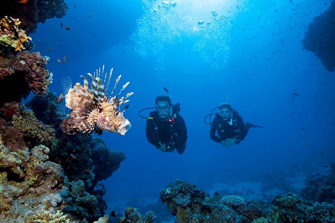 Full-Day Beginner Scuba Course with Private Tuition, Racha Yai - Is $162.73 Good Value?