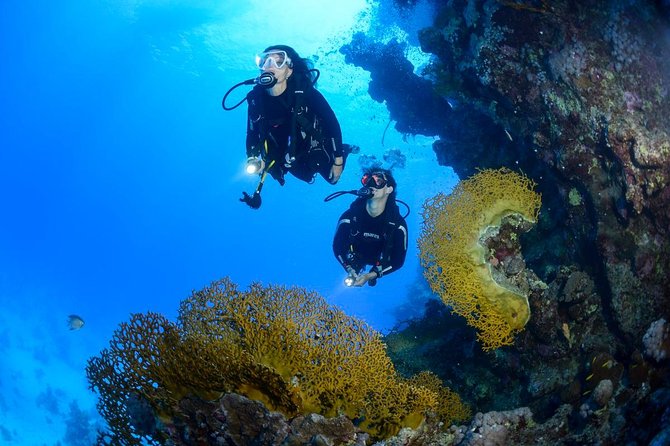Full-Day Beginner Scuba Course with Private Tuition, Racha Yai - Meeting at Chalong Pier at 7:00 am