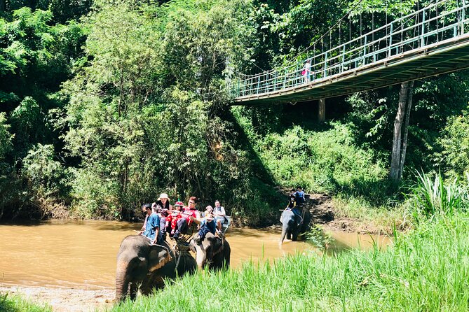 Full Day Car Hire with an English Speaking Driver in Chiang Mai - Elephant sanctuaries and responsible planning