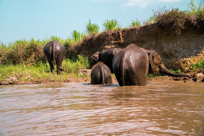 Full Day Chauffeur Driven Tuk Tuk Adventure in Chiang Mai including rafting - From Chiang Mai city to Mae Wang District