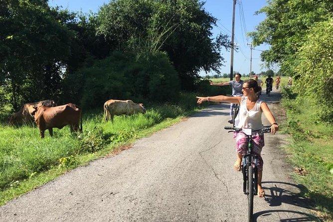 Full Day Cycling tour to Sukhothai Historical Park - Food, Water, and Beating the Heat