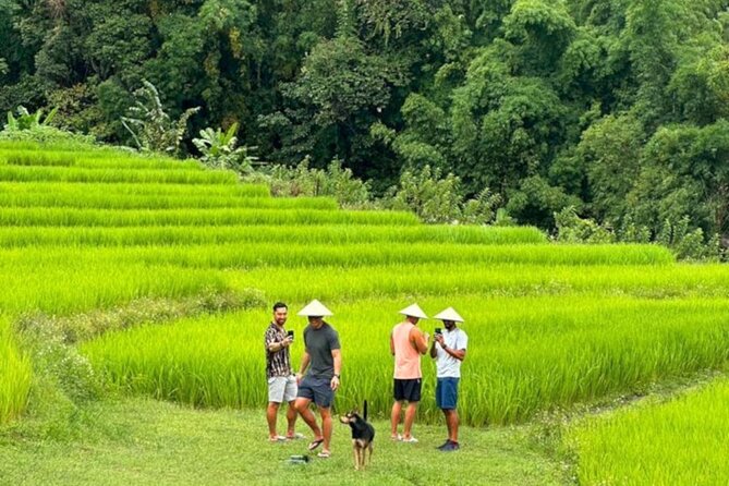 Full-Day Doi Inthanon National Park Tour with Trek and Pagodas - The long road from Chiang Mai to Doi Inthanon