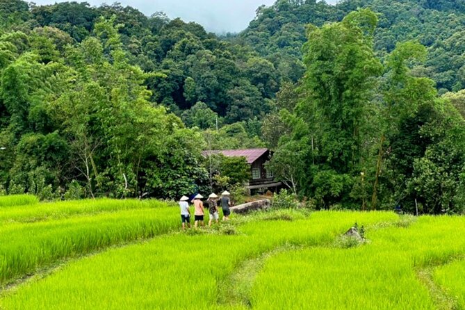 Full-Day Doi Inthanon National Park Tour with Trek and Pagodas - A Hmong market lunch with local produce
