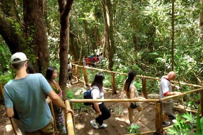 Full-Day Doi Inthanon National Park Tour with Trek and Pagodas - What the $61.74 price really covers