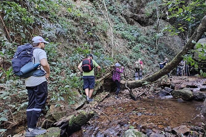 Full Day Doi Saket Hiking Tour - Key Points at a Glance
