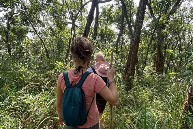 Full Day Doi Saket Hiking Tour - The Morning Trek Through Ancient Forest