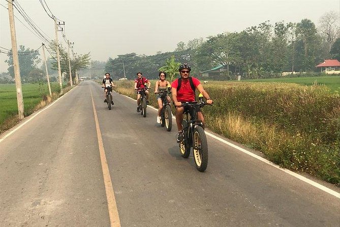 Full-day E-bike Countryside and Nam Phrae (flat-hilly, GUIDED) - Through Hang Dong, rice fields, and orchards