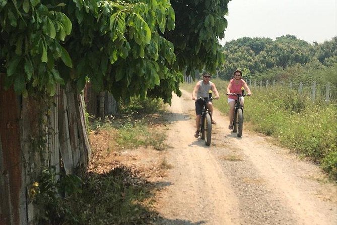 Full-day E-bike Countryside and Nam Phrae (flat-hilly, GUIDED) - Lunch, water, and a well-paced day