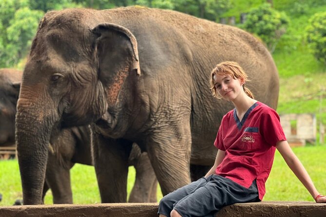 Full Day Experience at Ran-Tong Save & Rescue Elephant Centre - Lunch, fruit, and a practical midday pause