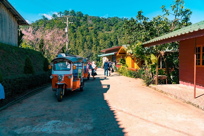 Full-Day Guided Tuk Tuk Chiang Mai Adventure and Rafting - A mountainside temple and working monks