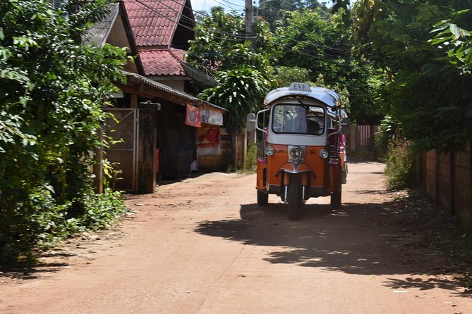 Full-Day Guided Tuk Tuk Chiang Mai Adventure and Rafting - Feeding and bathing elephants without riding