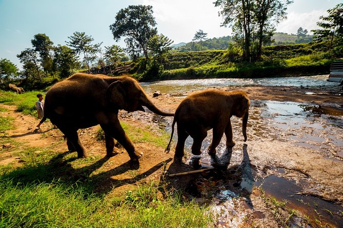Full-Day Guided Tuk Tuk Chiang Mai Adventure and Rafting - Thai lunch and a sensible midday pause