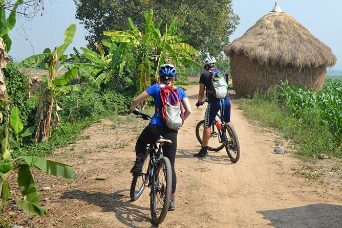 Full-Day Hike and Bike Tour from Chiang Mai - Why Mae Sa Valley works for an active day trip