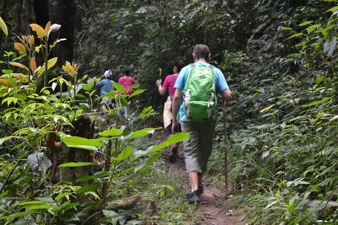 Full-Day Hike and Bike Tour from Chiang Mai - A two-hour hike through fields and forest
