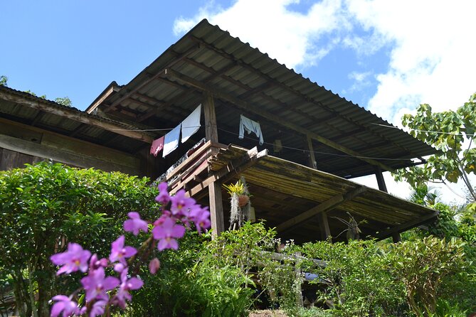 Full-Day Hike and Bike Tour from Chiang Mai - Waterfall break and a Thai lunch