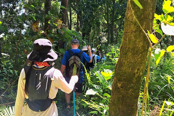 Full-Day Hike and Bike Tour from Chiang Mai - Is $75 a fair price?