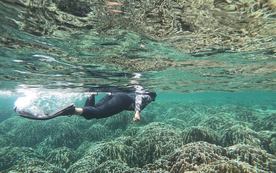 Full-Day Koh Lipe 7 points Snorkeling Experience with Lunch - Koh Phueng and the final reef