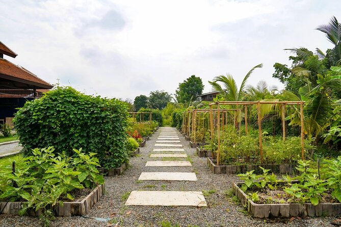 Full-Day Thai Cooking Class with Grandma - Market and Farm Tour - Pickup, timing, and what to bring