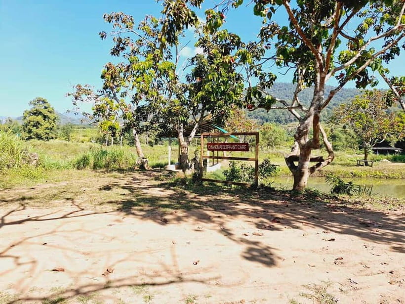 Full-day with CHIANGMAI ELEPHANT CARE and Sticky waterfall - How the guide shapes the day